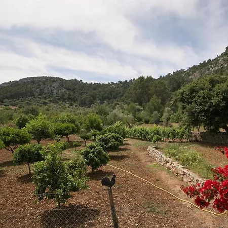 Msv Finca Milor, Preciosa Finca Rodeada De Naturaleza En Villa