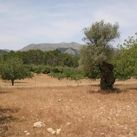 Msv Finca Milor, Preciosa Finca Rodeada De Naturaleza En Villa *